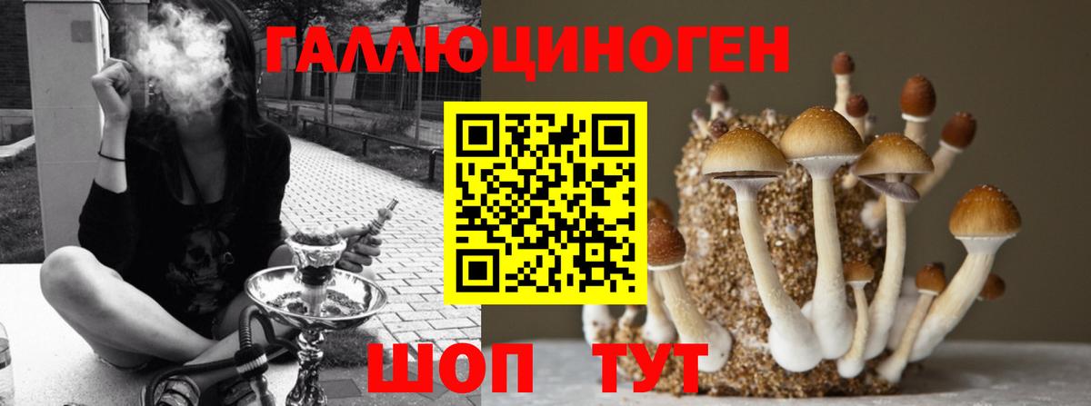 Псилоцибиновые грибы MAGIC MUSHROOMS Вичуга
